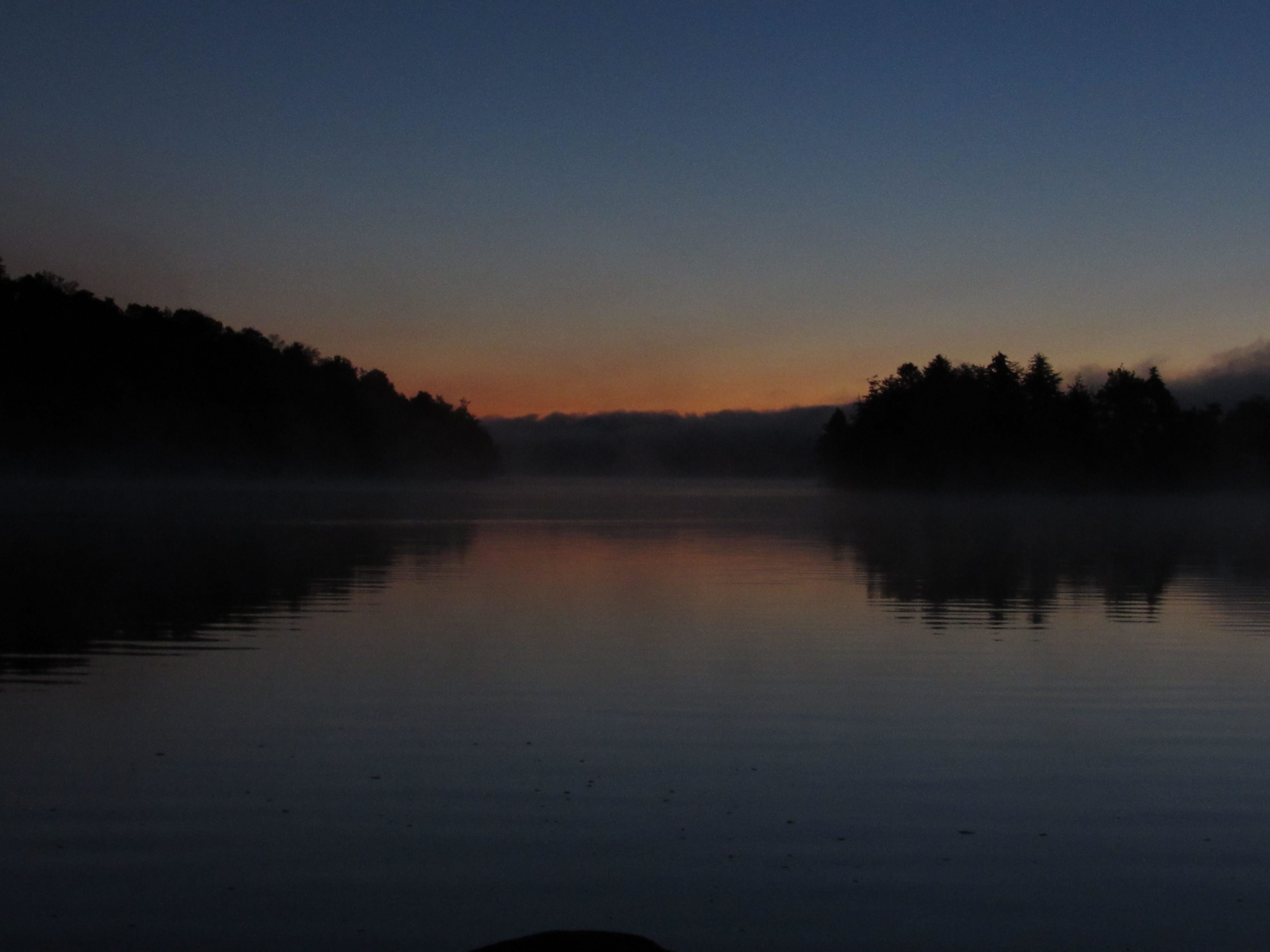 image 12 // 00-00-2020
