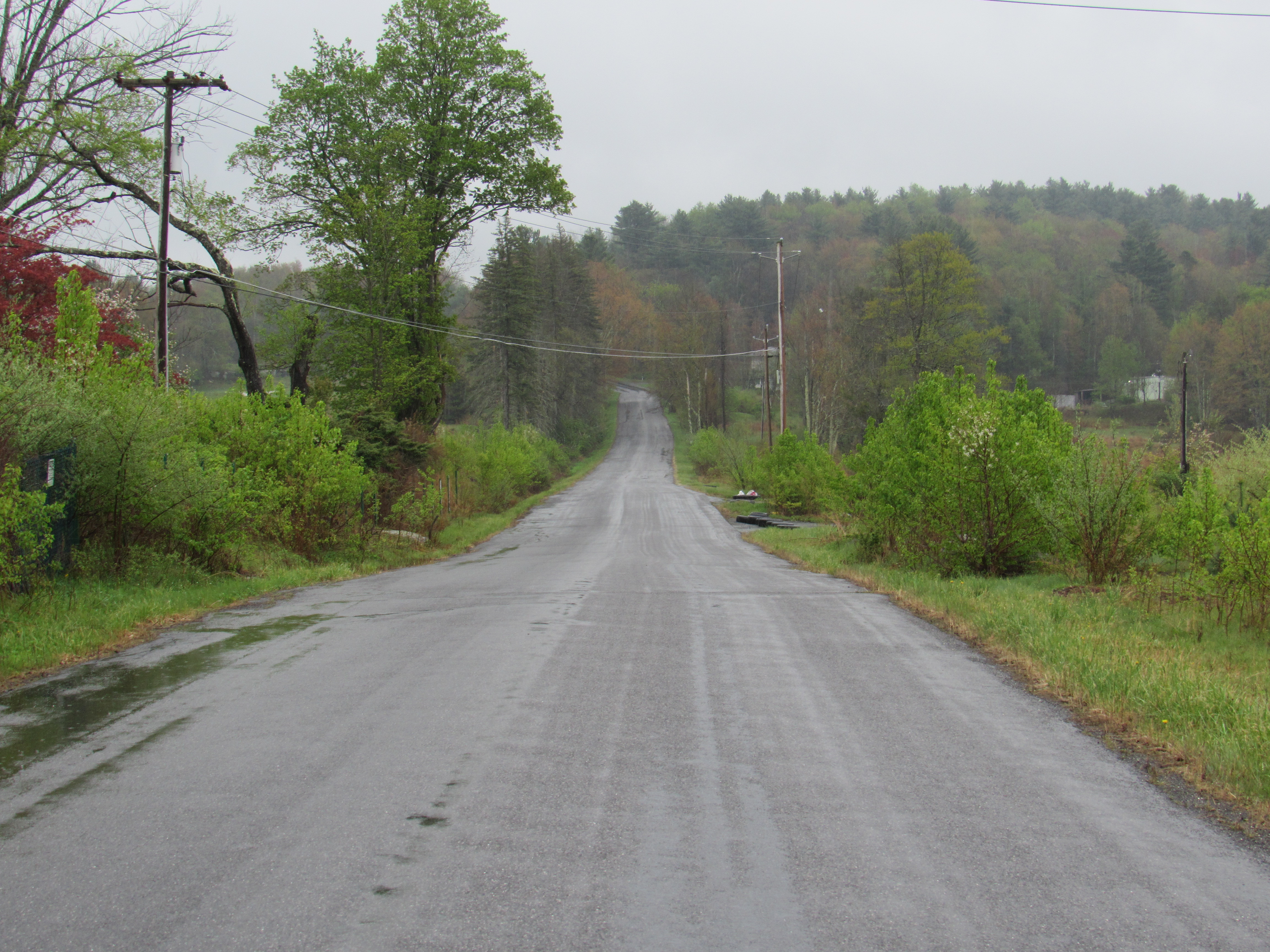 image 17 // 00-00-2020