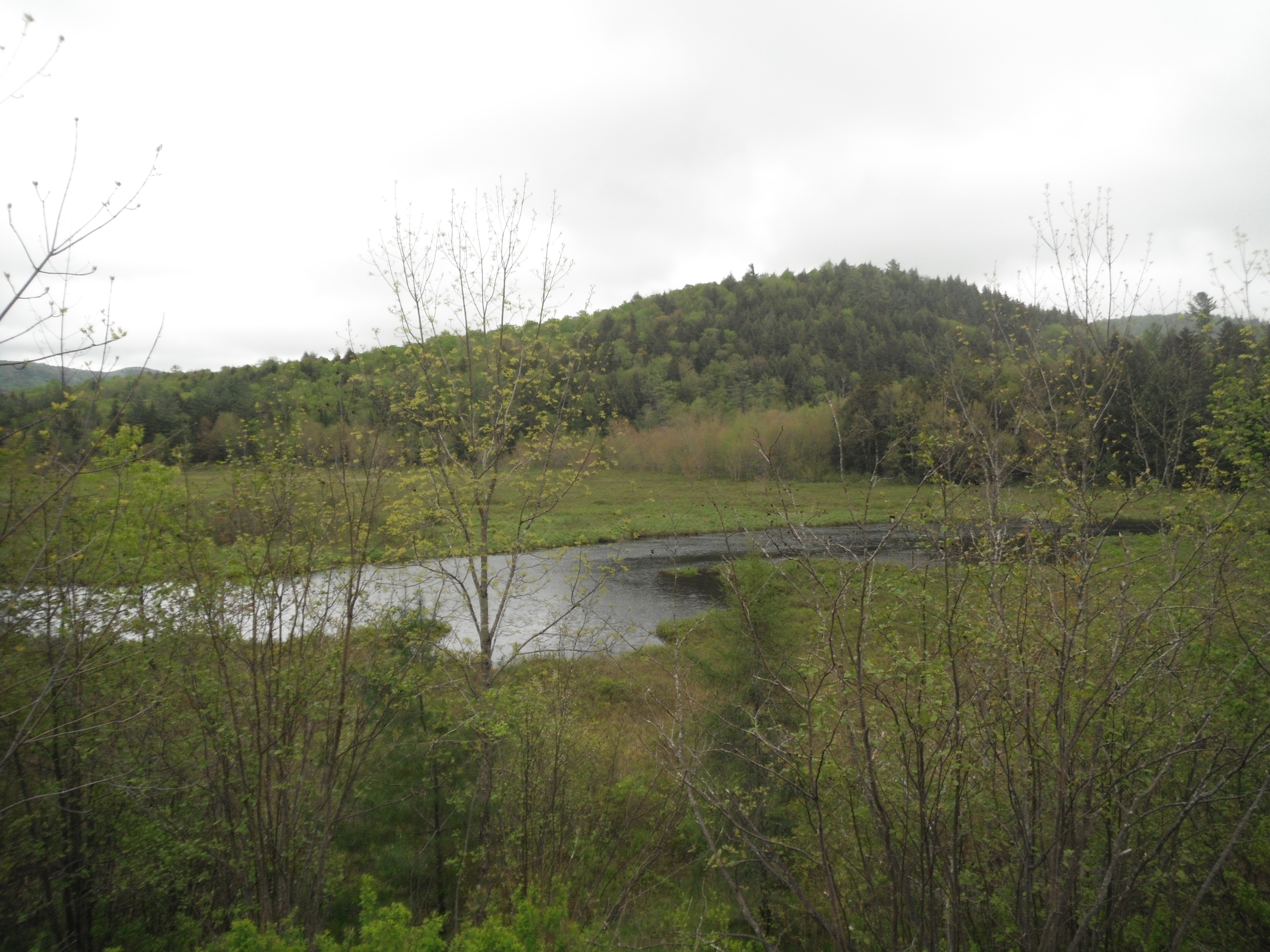 image 19 // 03-11-2020