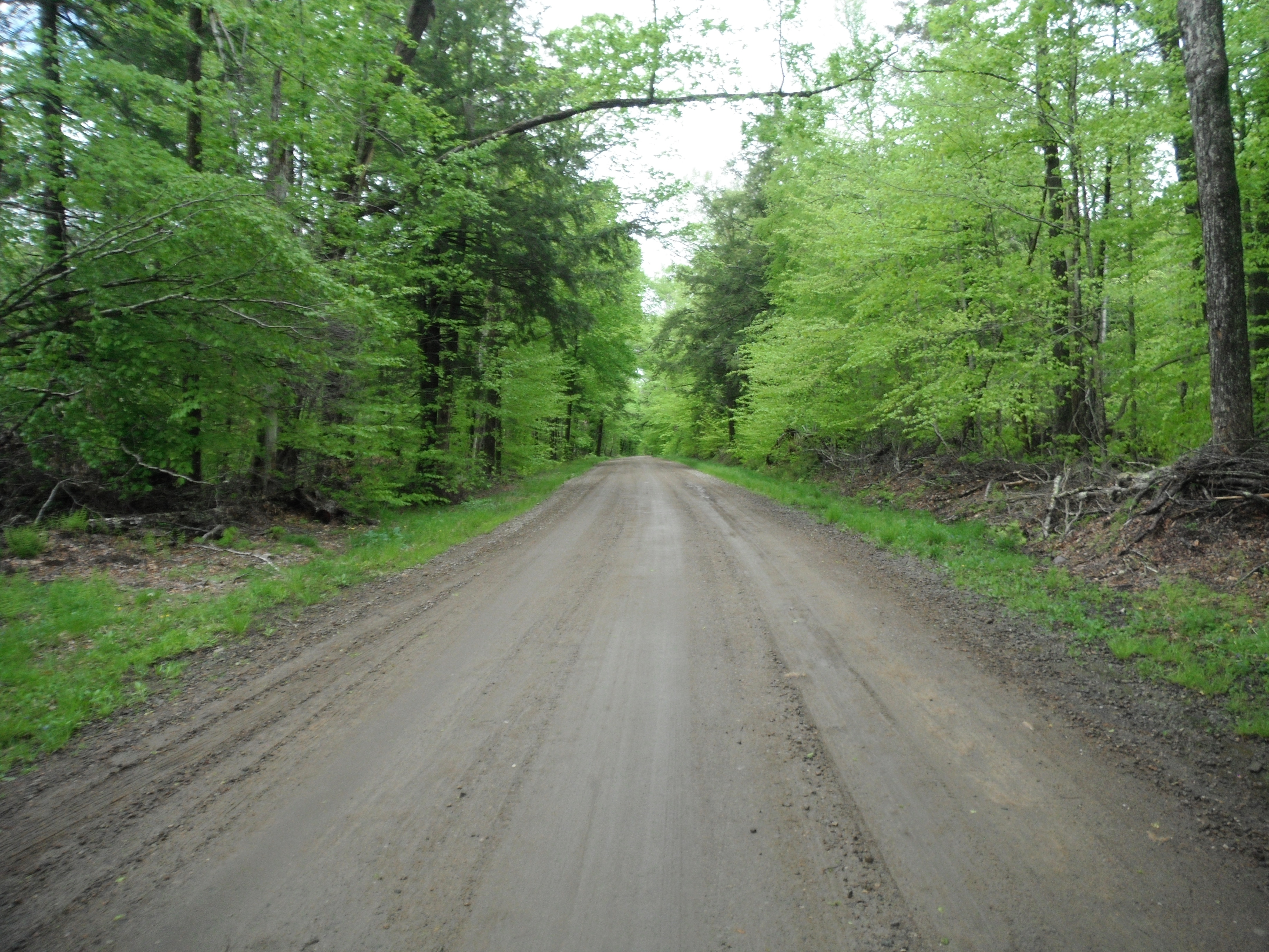 image 20 // 01-11-2020