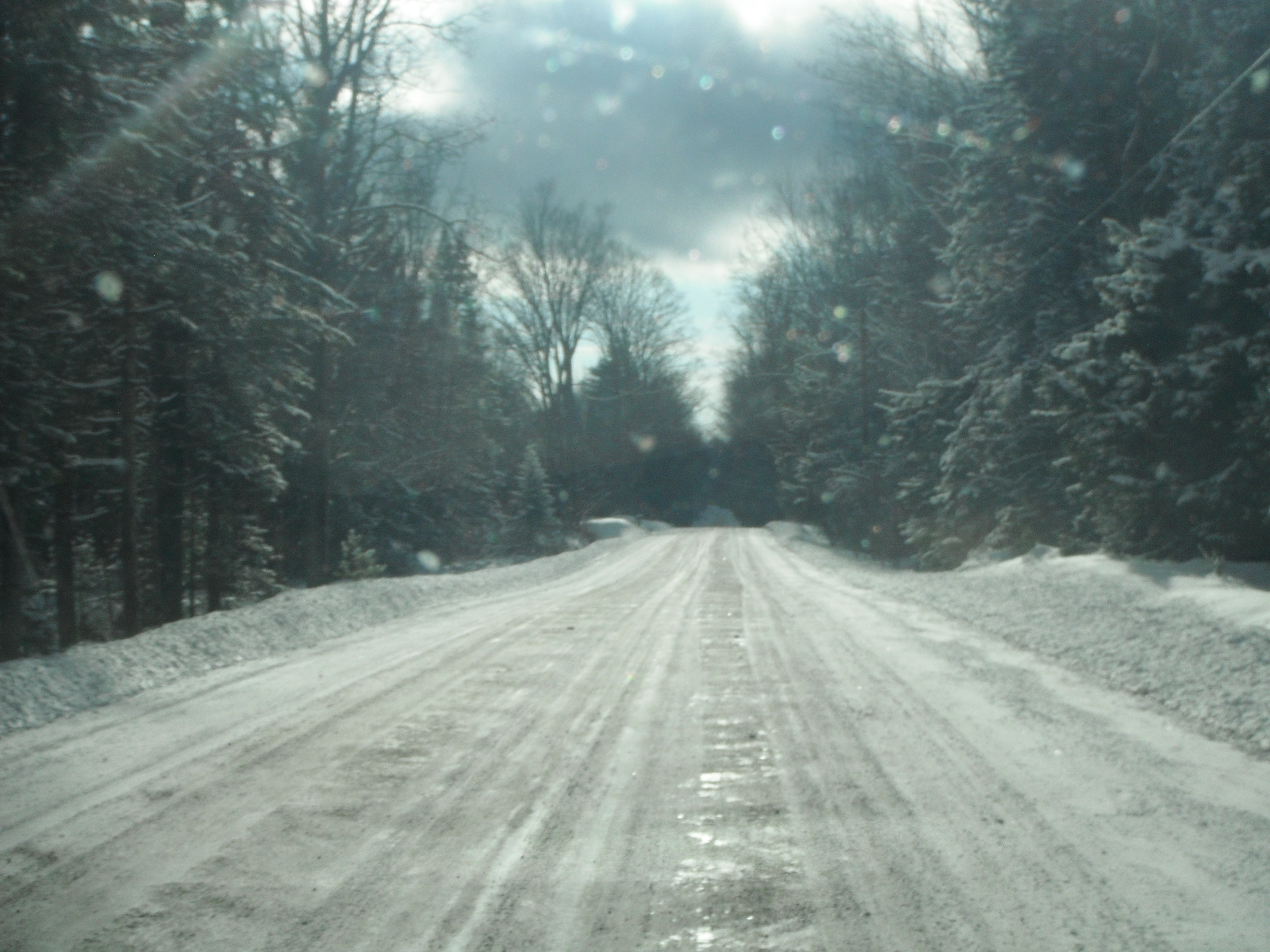 image 19 // 05-02-2021