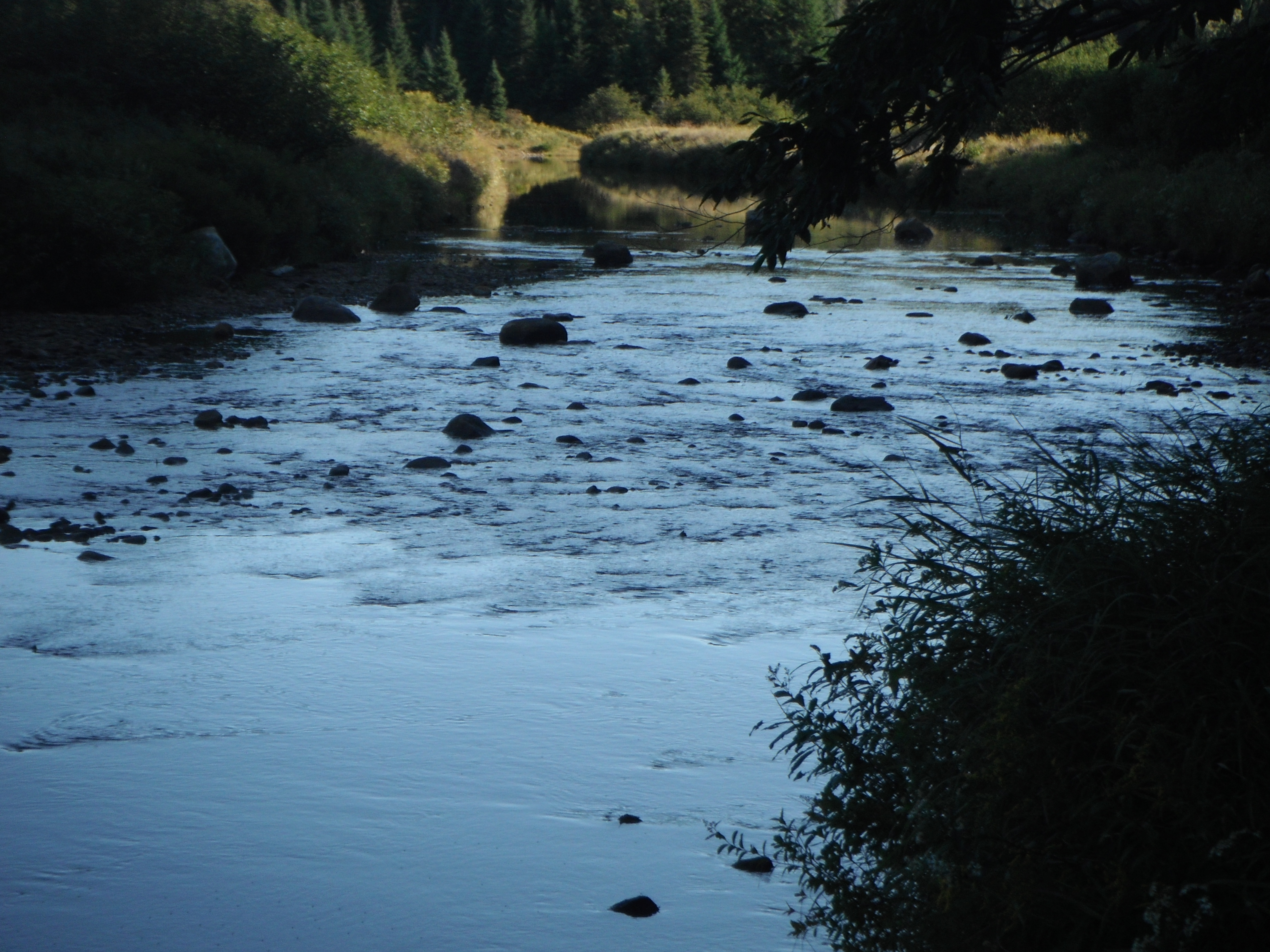 image 3 // 00-00-2020