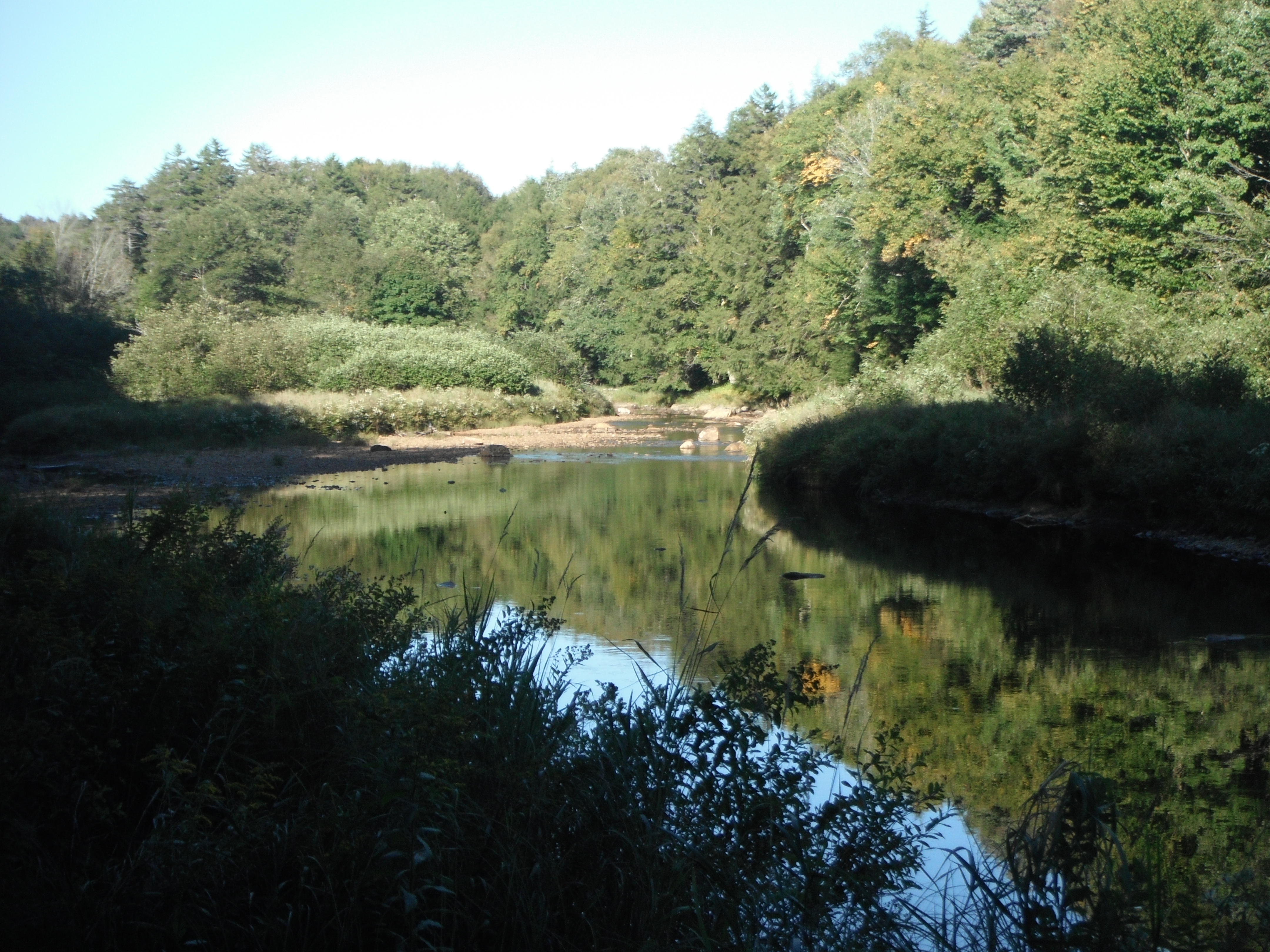 image 4 // 00-00-2020