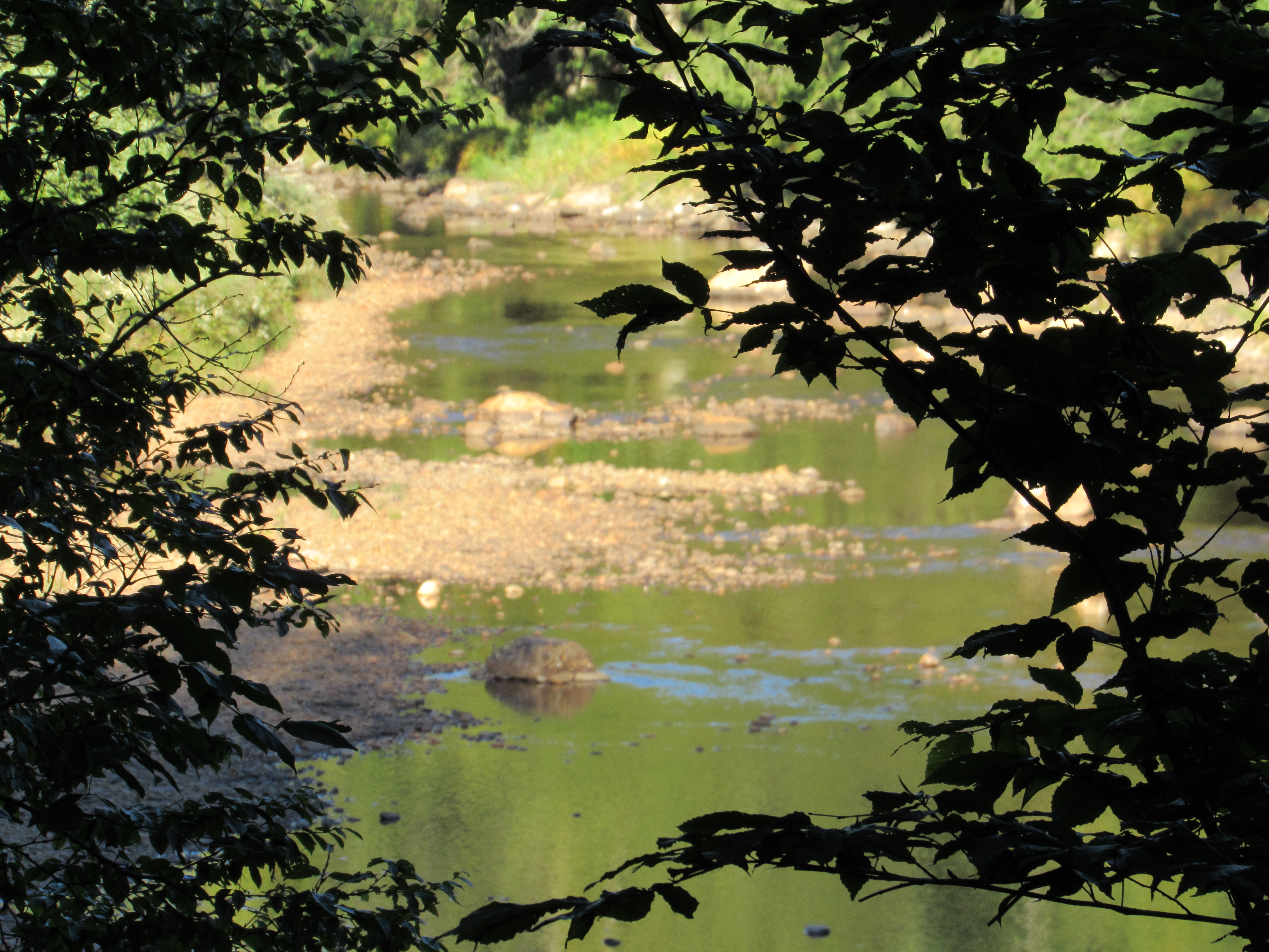 image 5 // 00-00-2020