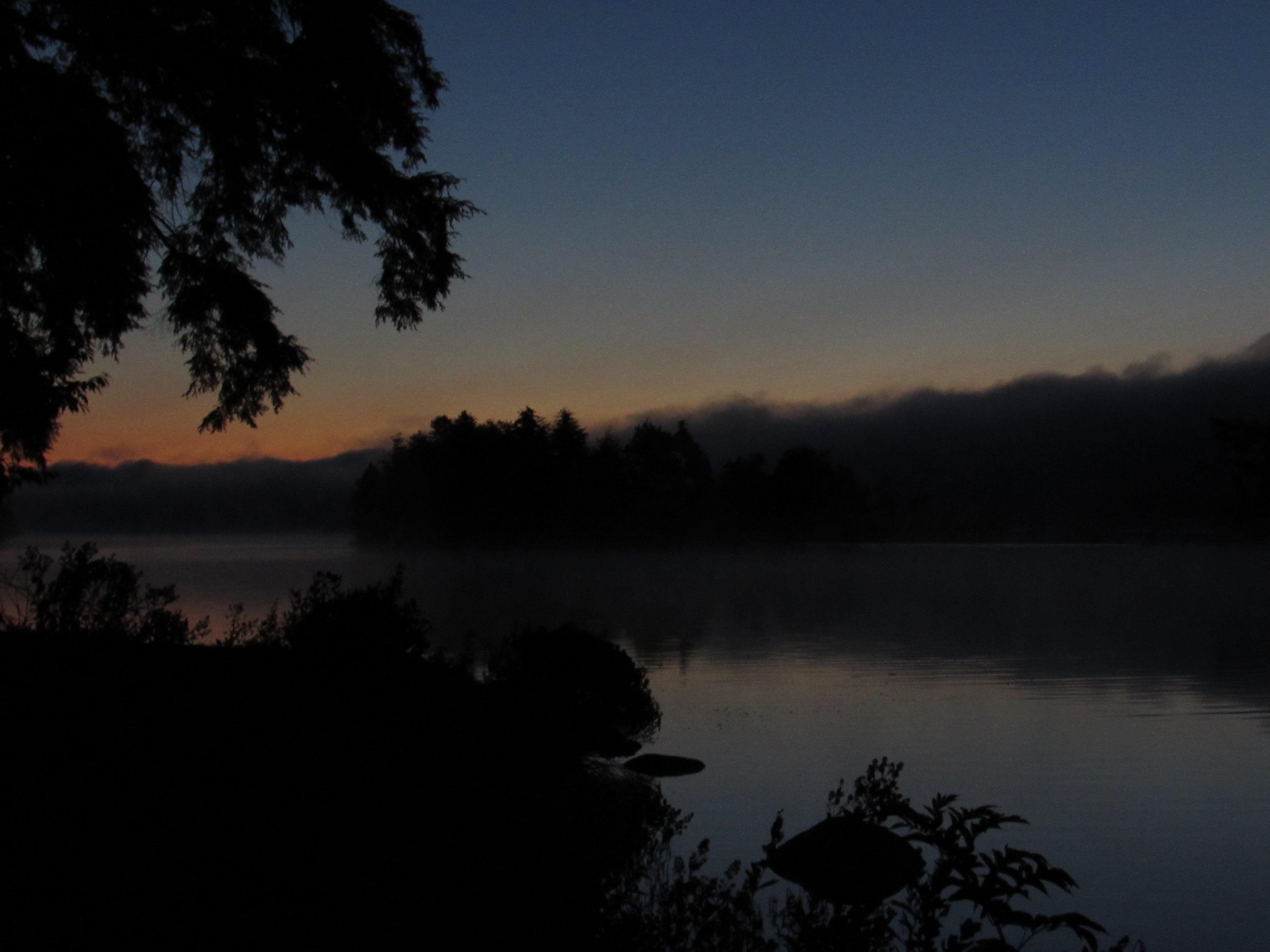 image 6 // 00-00-2020