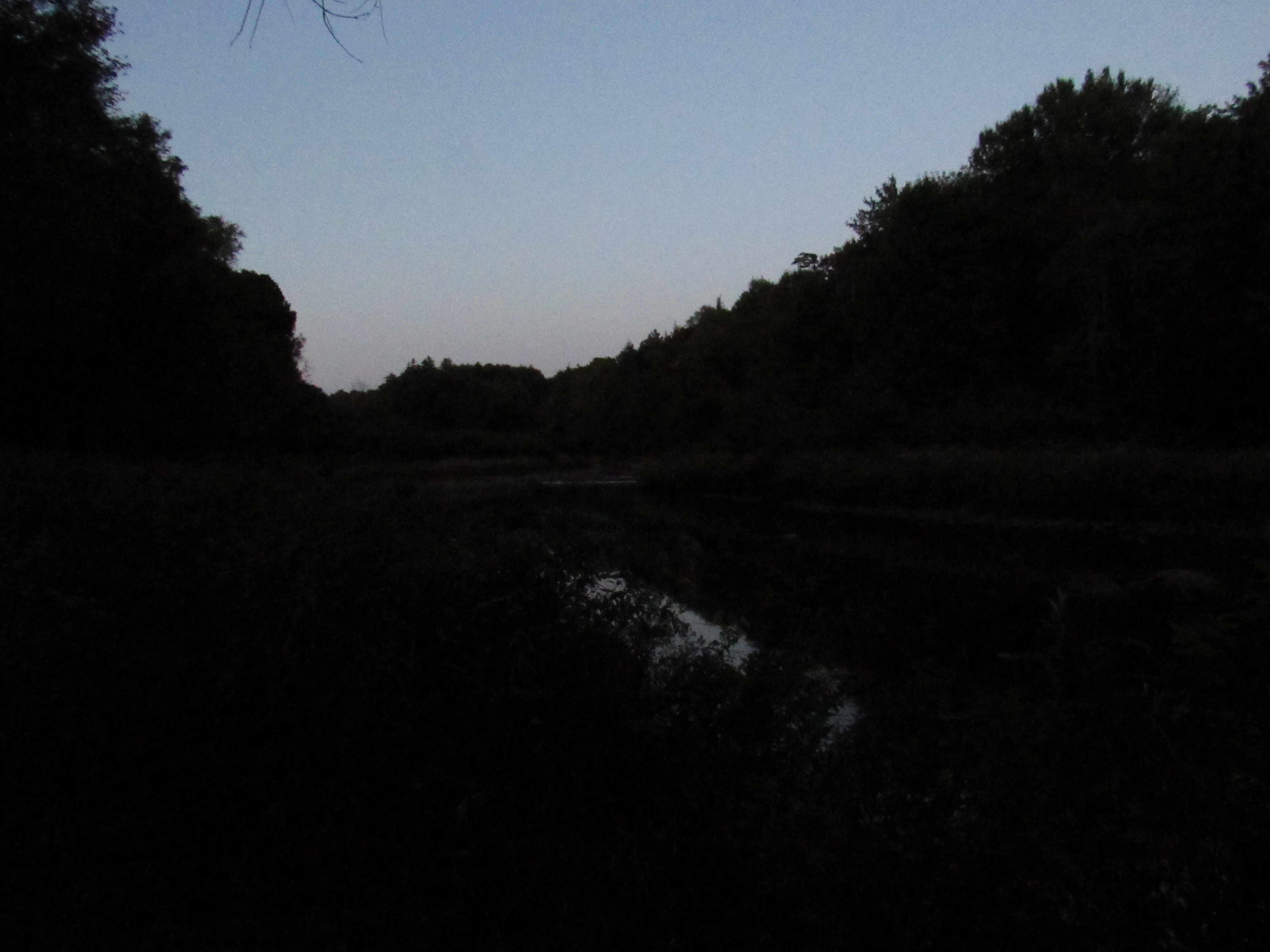image 8 // 00-00-2020
