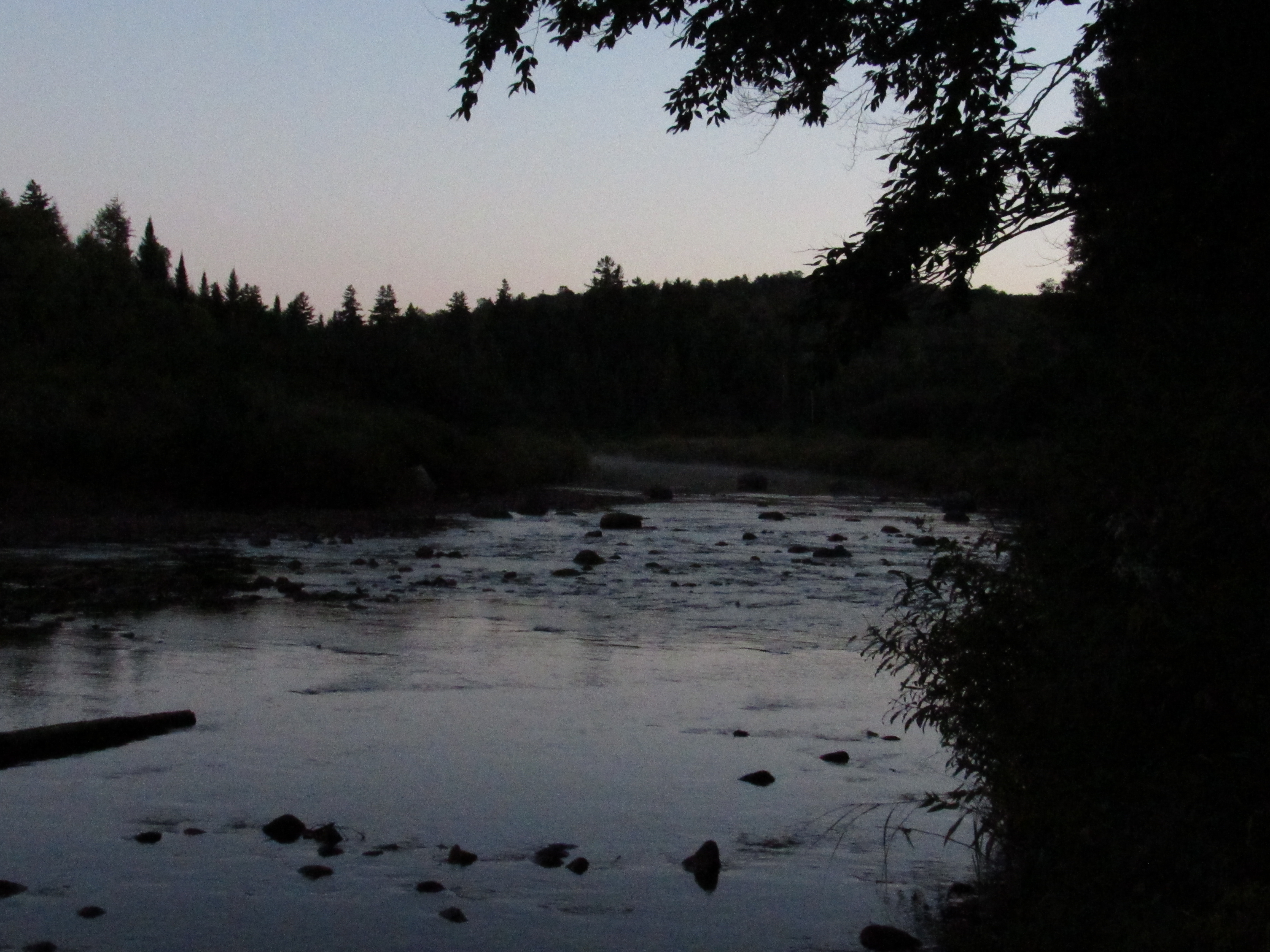 image 9 // 00-00-2020