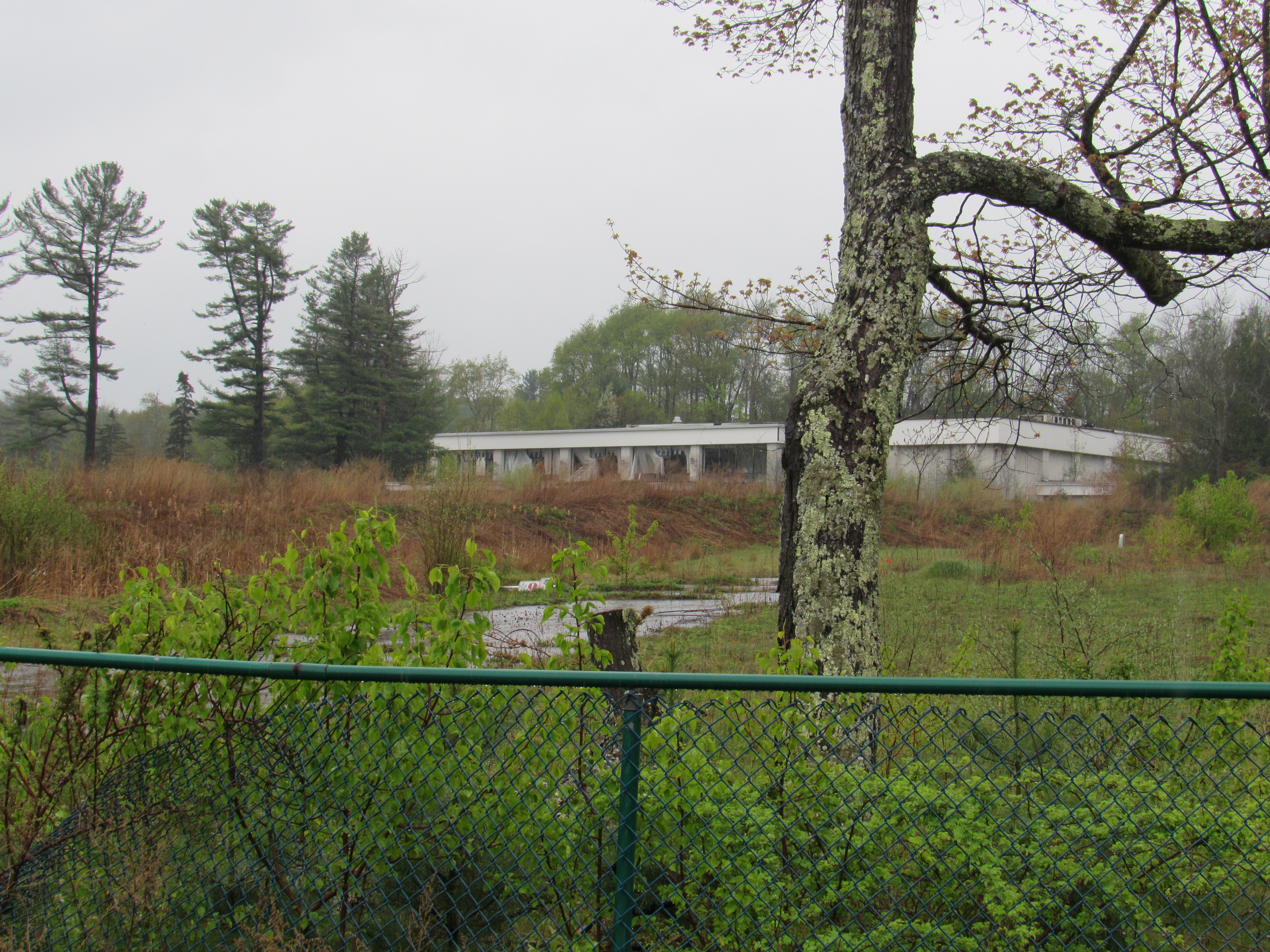 image 1 // 00-00-2020