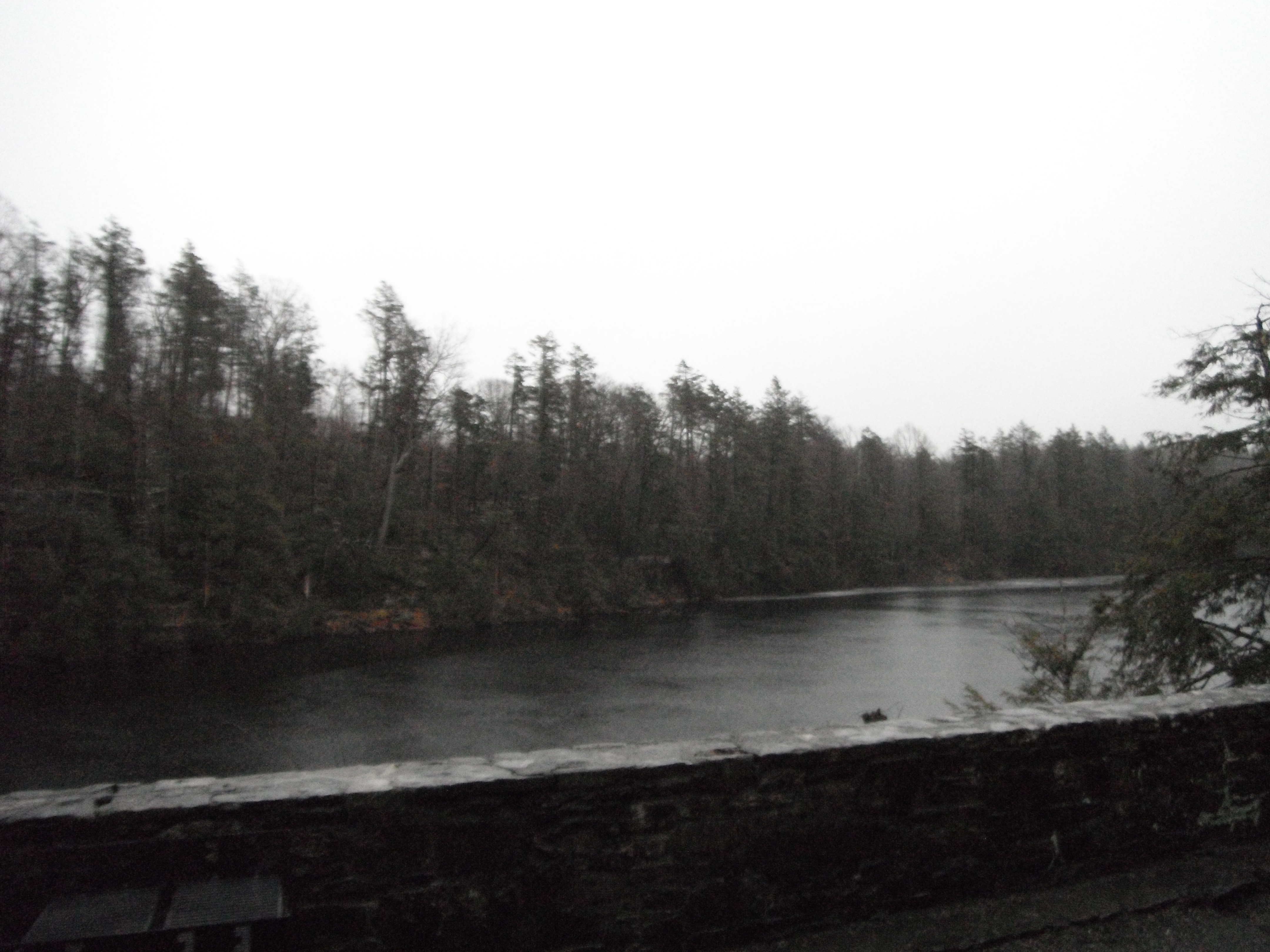 image 10 // 01-11-2020