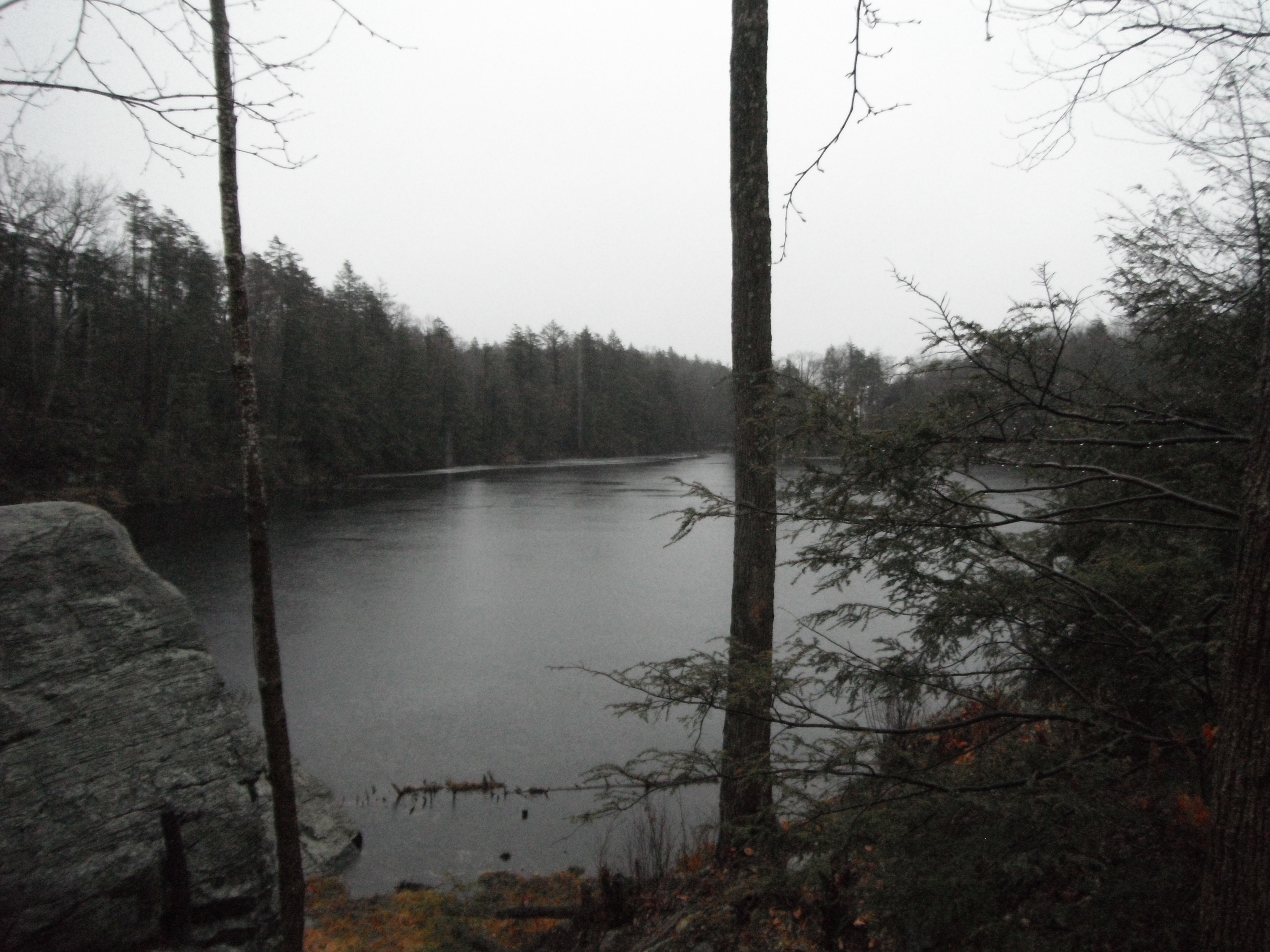 image 11 // 01-11-2020