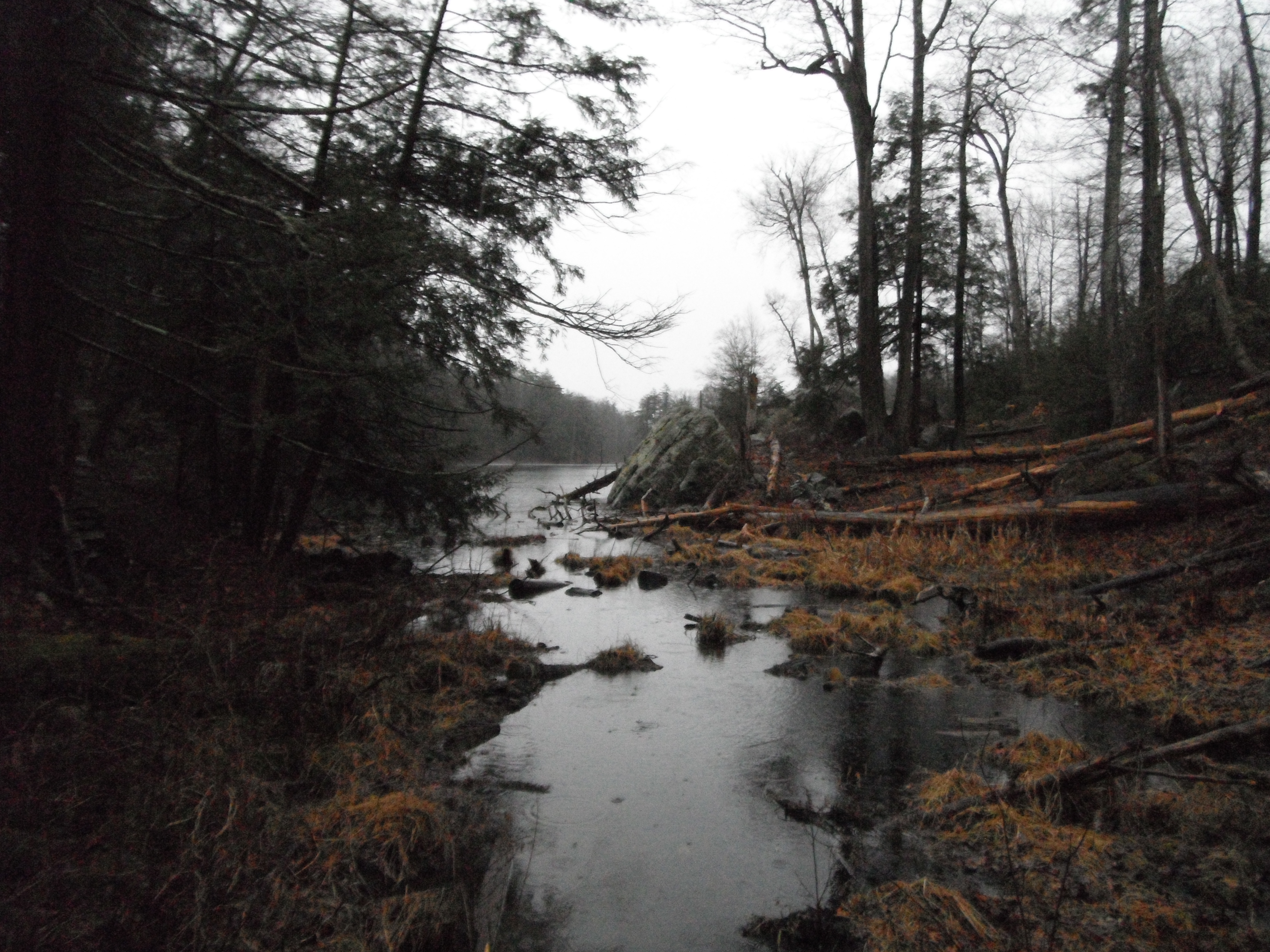 image 12 // 01-11-2020