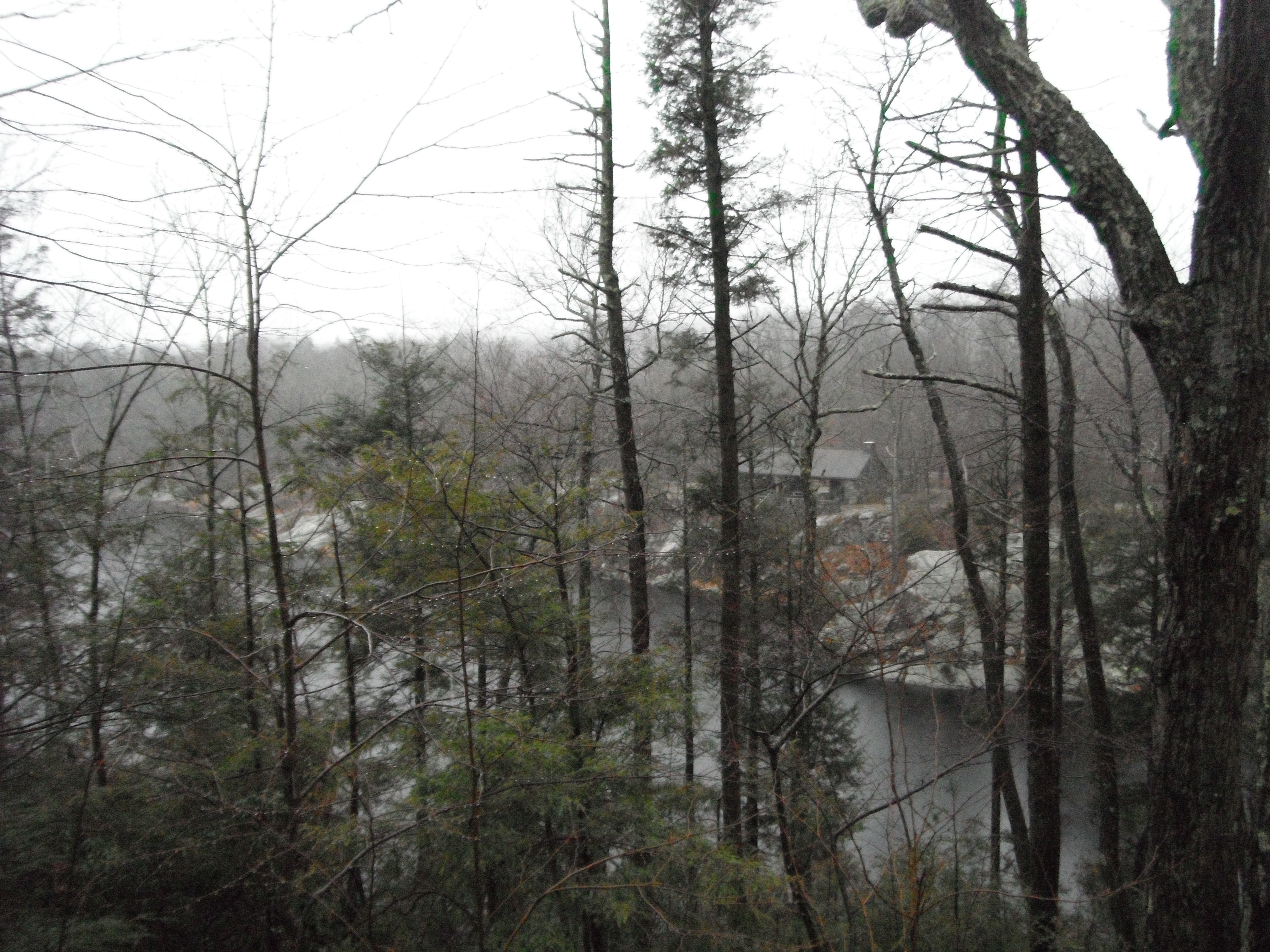 image 13.2 // 01-11-2020