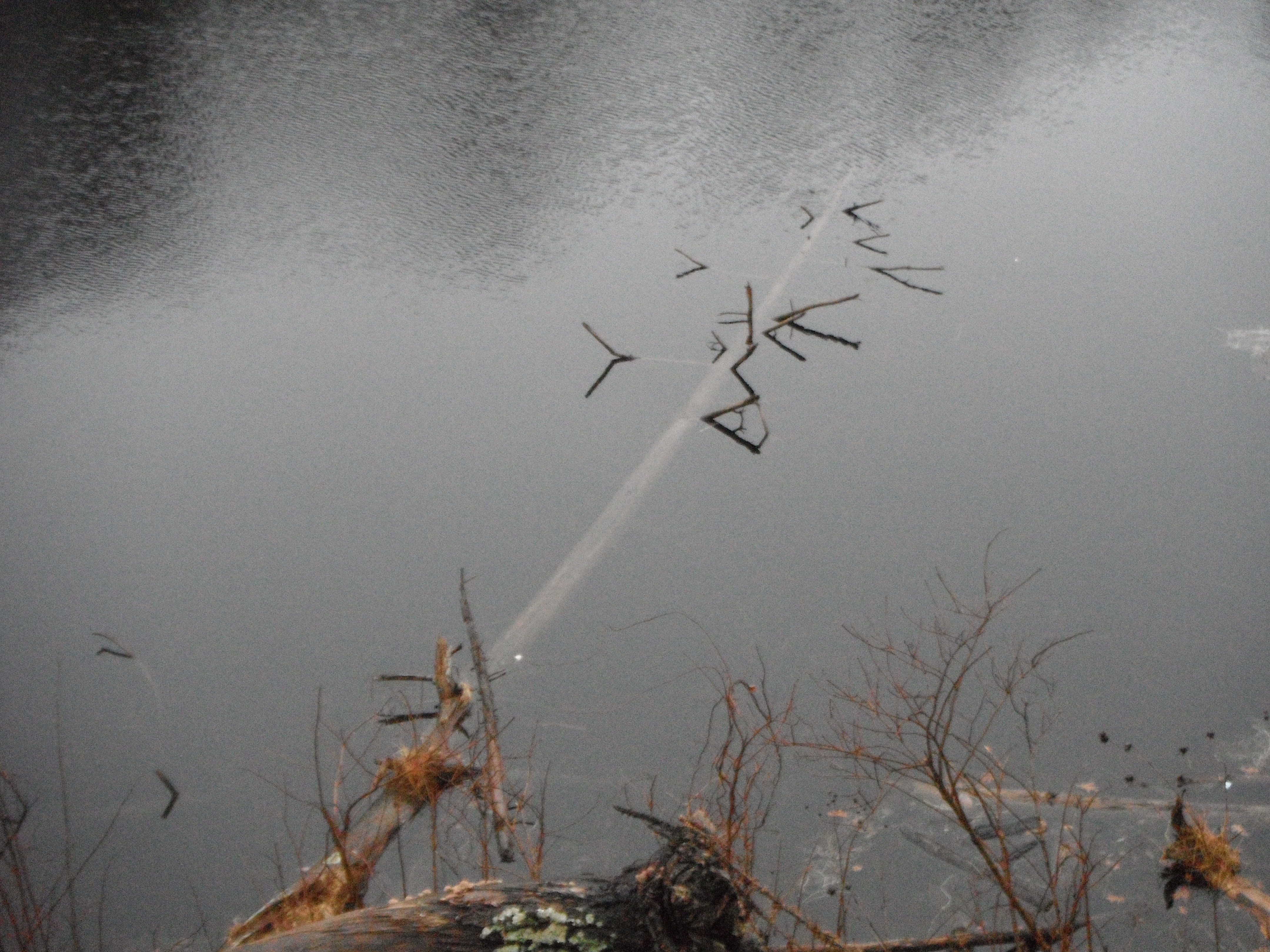 image 14.2 // 01-11-2020