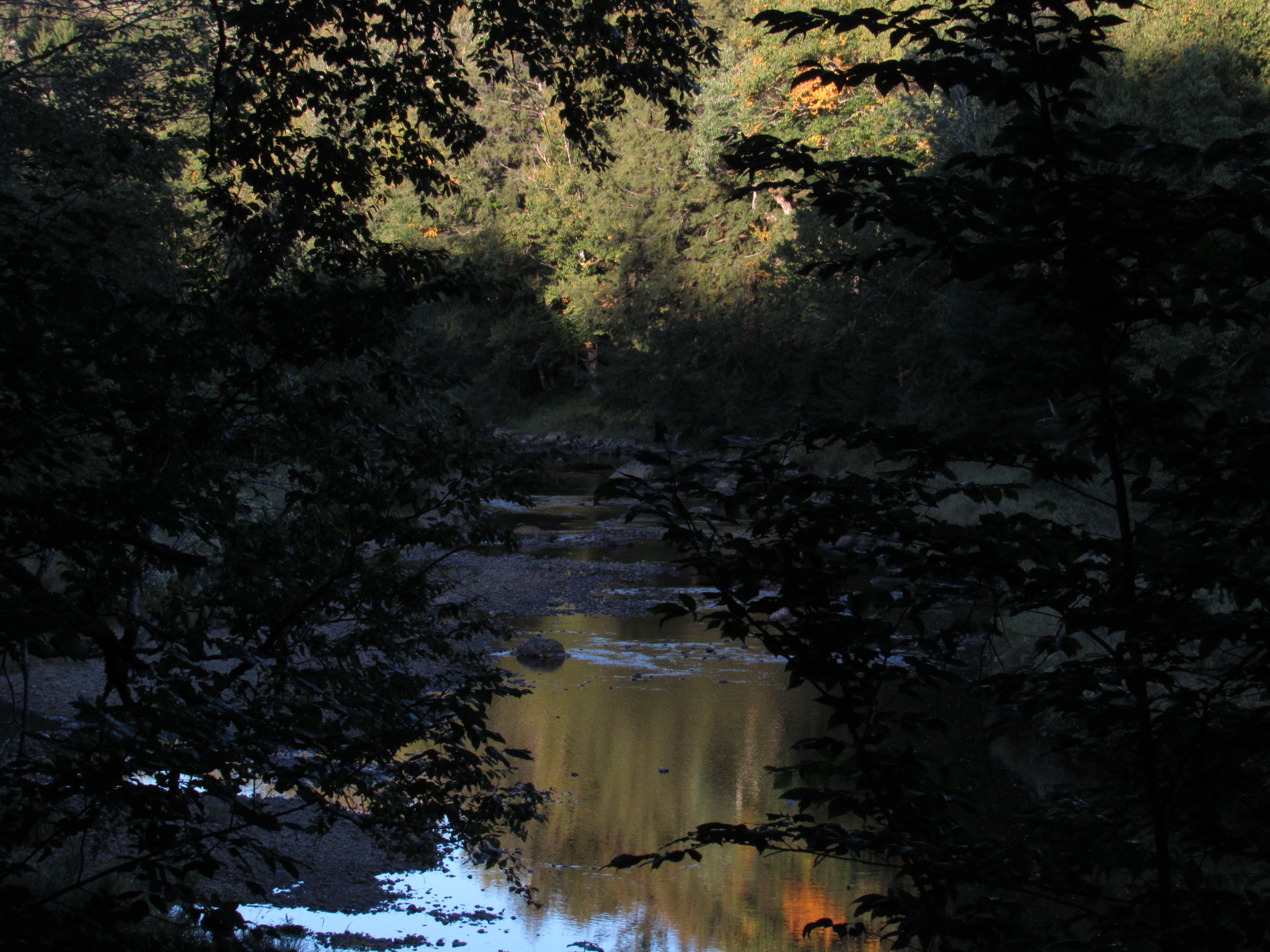 image 2 // 00-00-2020