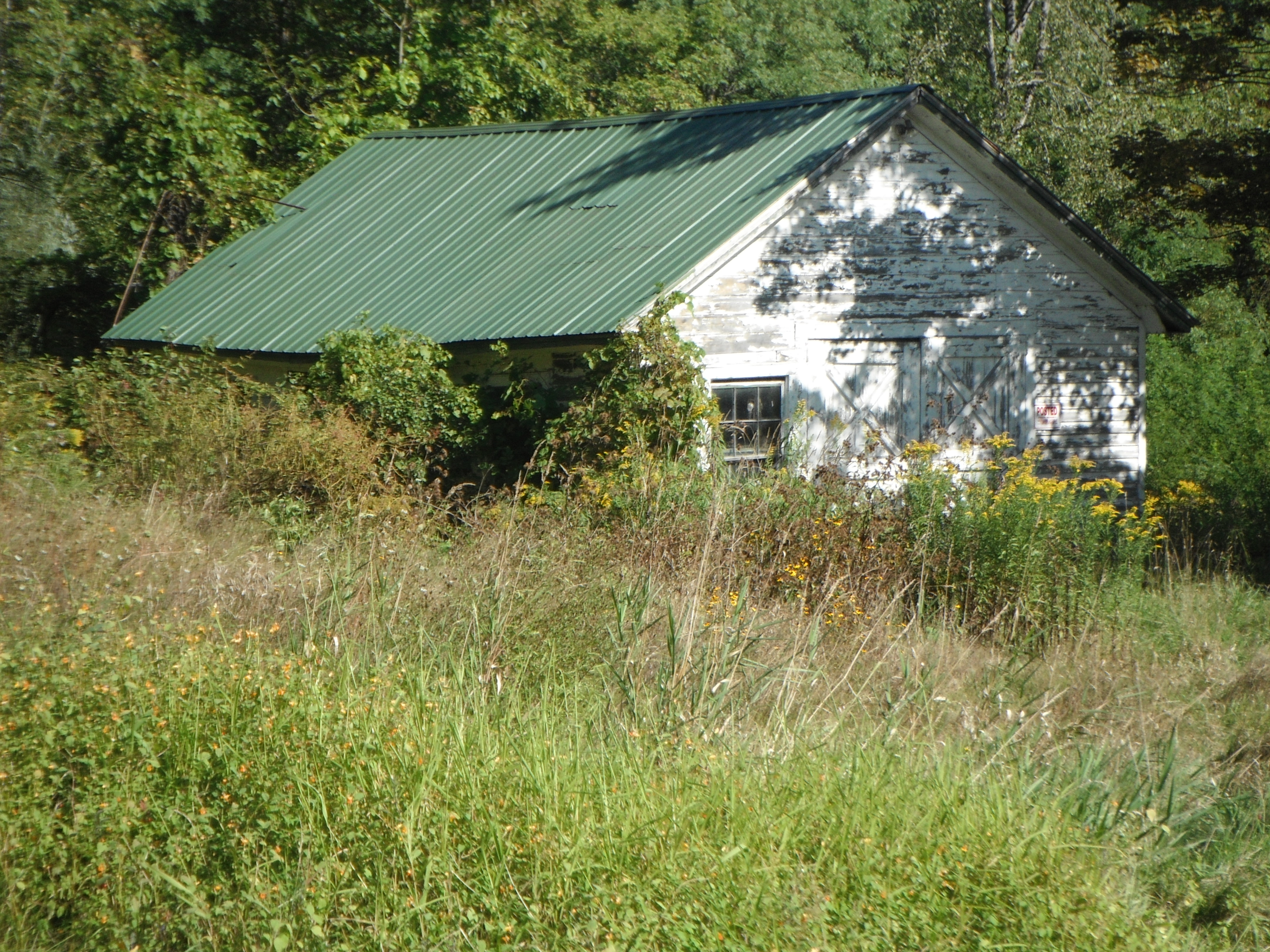 image 4 // 00-00-2020