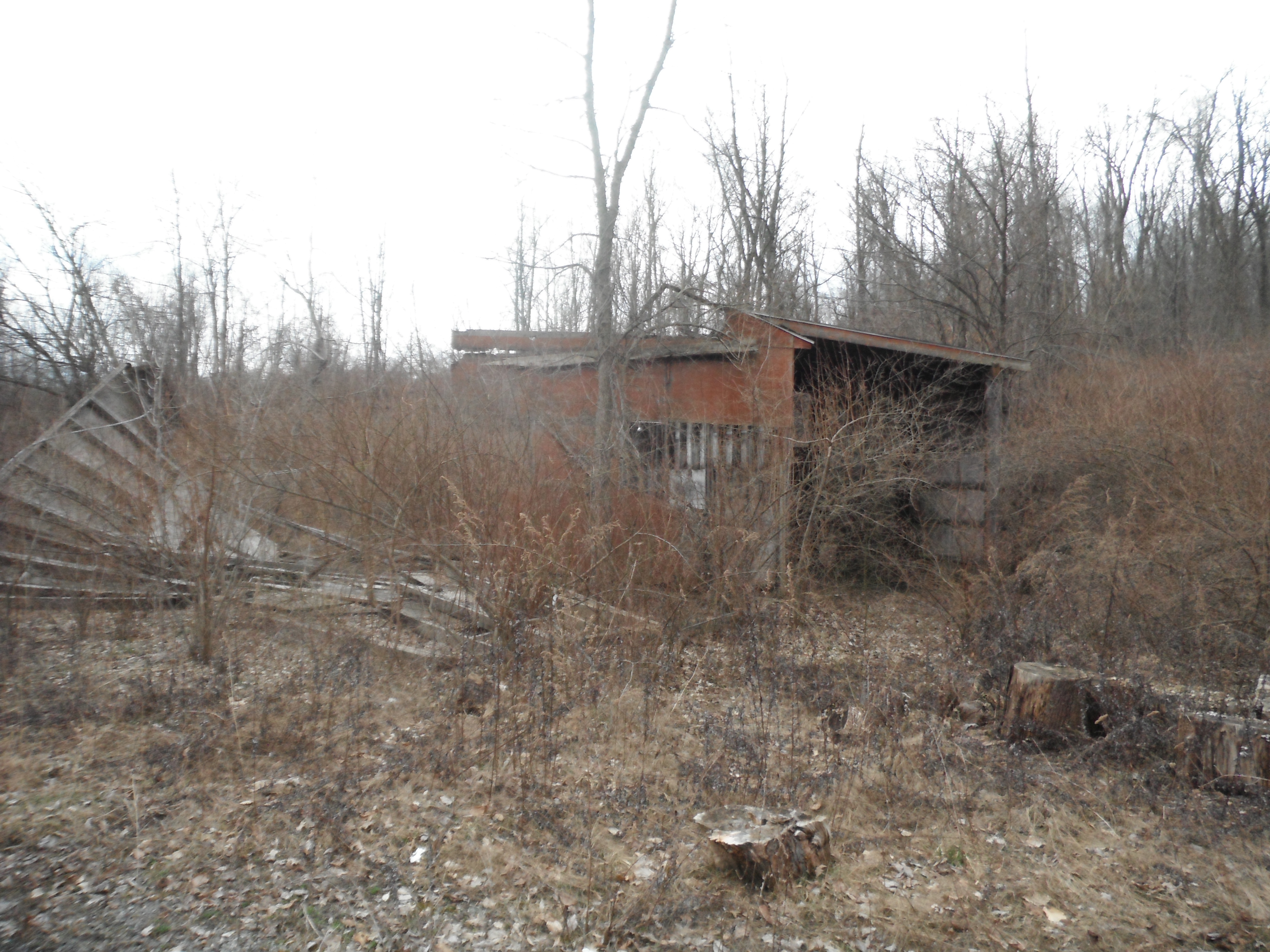 image 7 // 00-00-2020